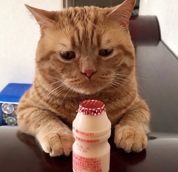 我被小瞧了，可我确实也不争气